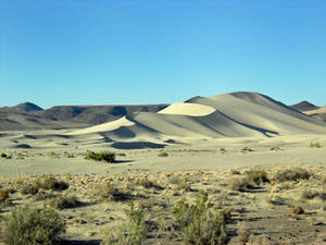 An Ocean of Sand