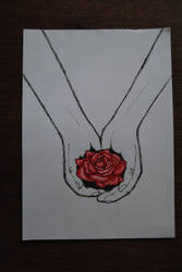 hold a rose