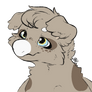 an baby