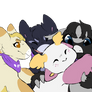 noc hugs
