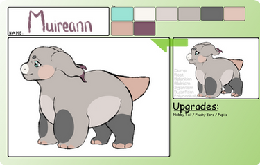 muireann app
