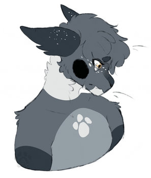 sad lil kitty