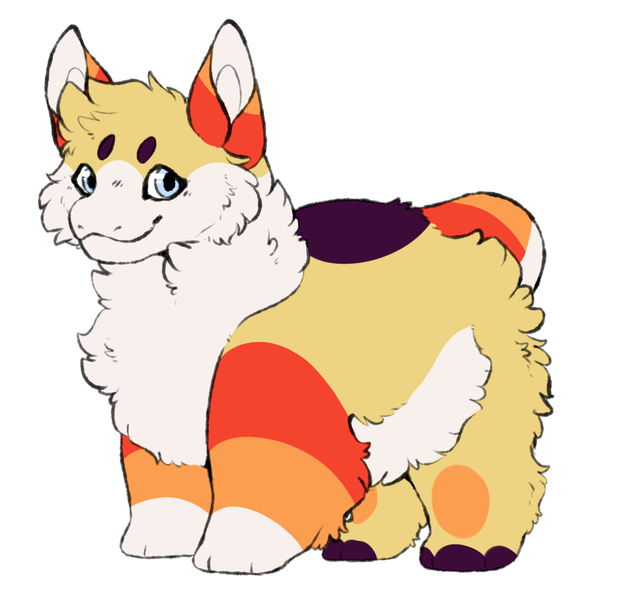 full corg
