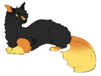 the fluffening