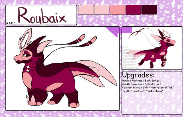 roubaix app