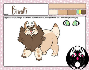 biscotti app