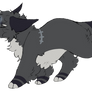 starry jay