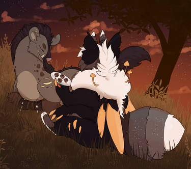 twilight picnic