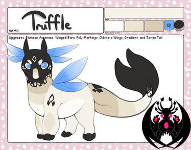 truffle app