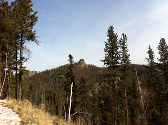 Black Hills