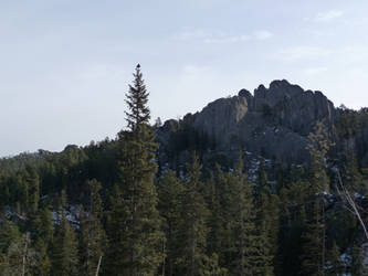 Black Hills 4