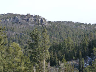 Black Hills 5