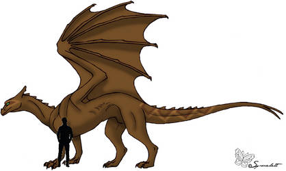 Dragonriders of Pern RP - Brown Gauth of S'tor