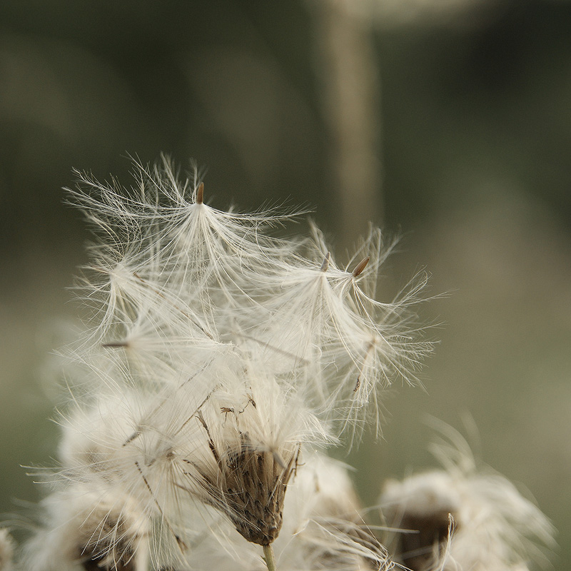 into the wind