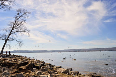 Guntersville Lake (3)