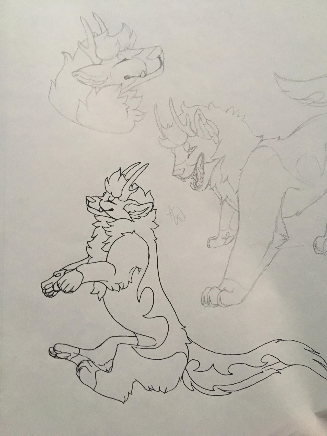 Lioden Commission 1/3