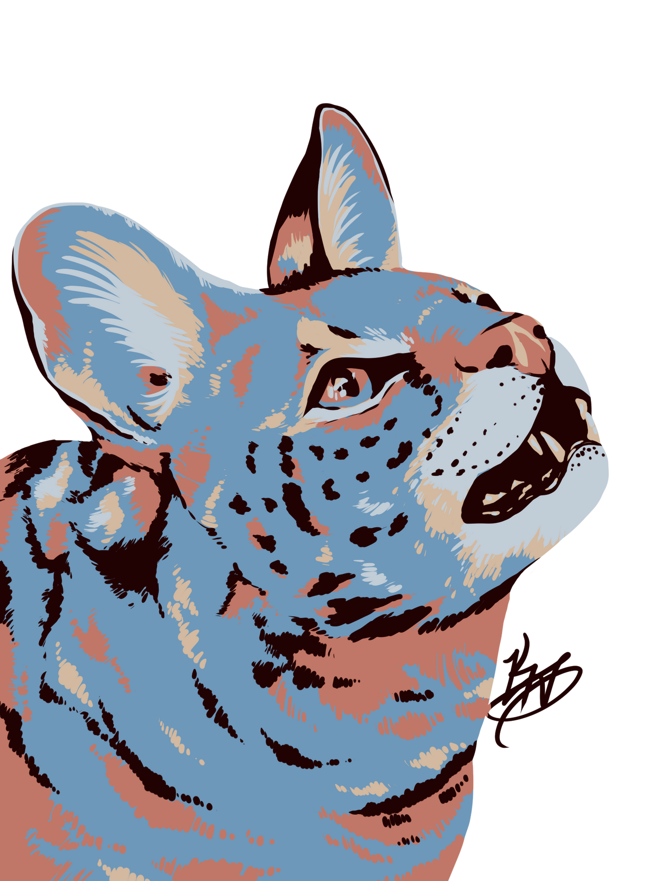 Surprise Colour Palette Serval