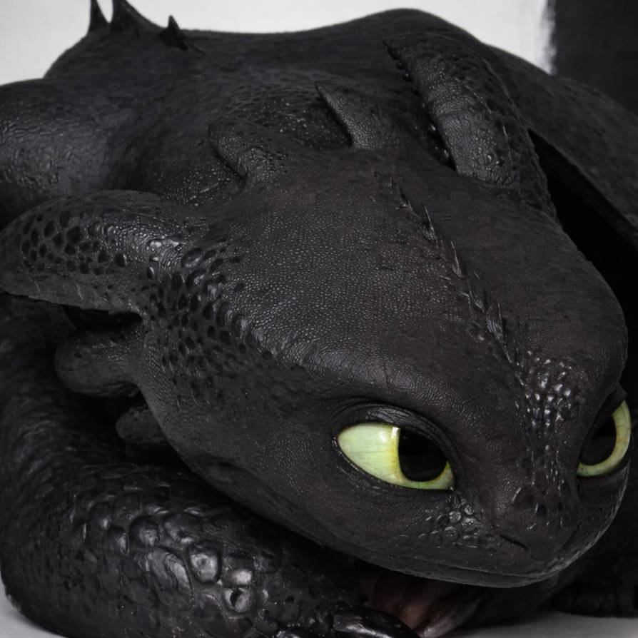 Disturbed Toothless A Very Bored Toothless by ToothlessAstro4Ever on DeviantArt