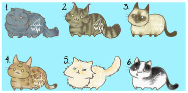 Set Cats 02 [OPEN]