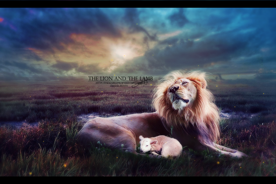 The Lion and the Lamb by itsdanielle91 The Lion and the Lamb by itsdanielle91