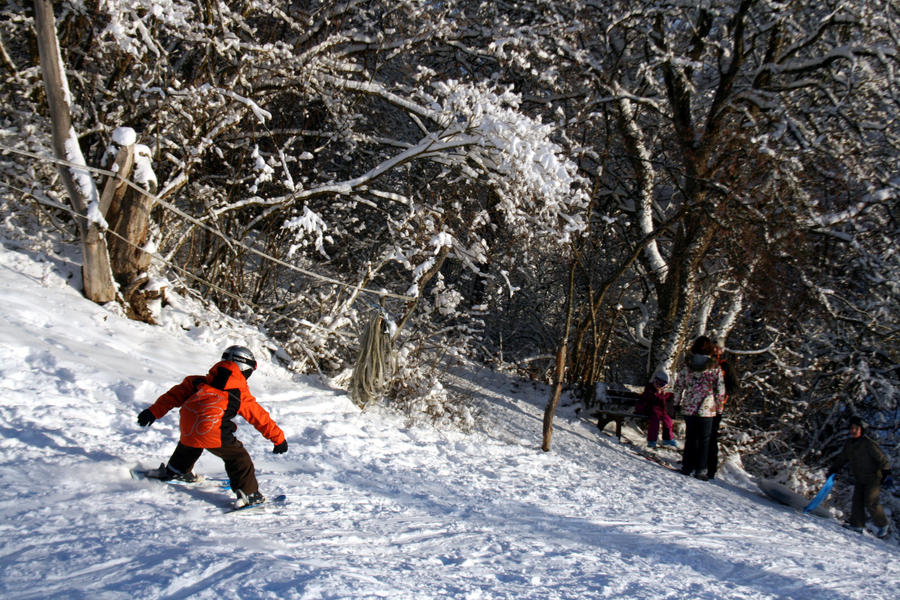 The local Sledding Hill