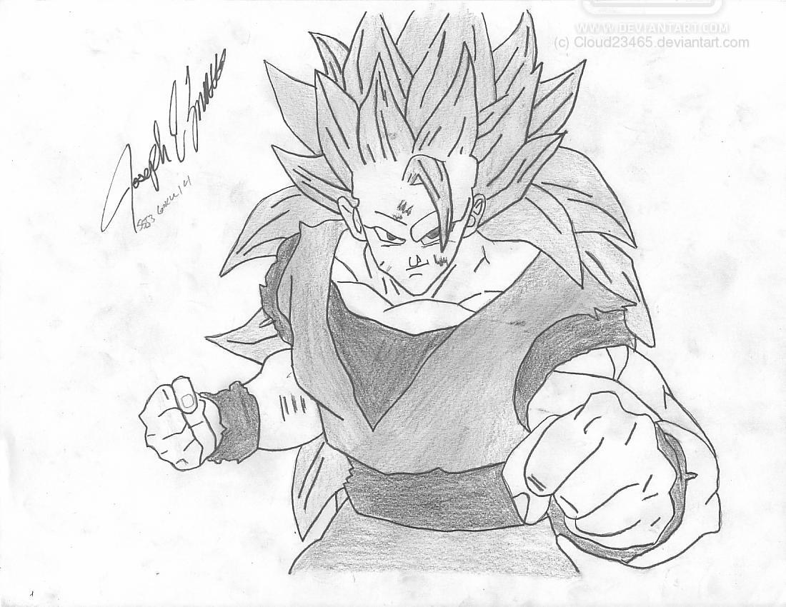SSJ3 Goku 14