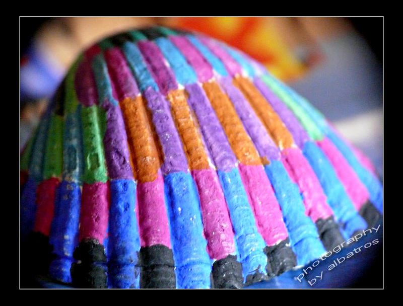 shell by albatros1 on DeviantArt