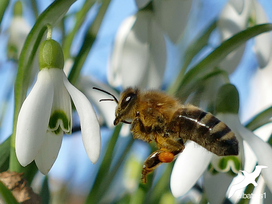 Springtime