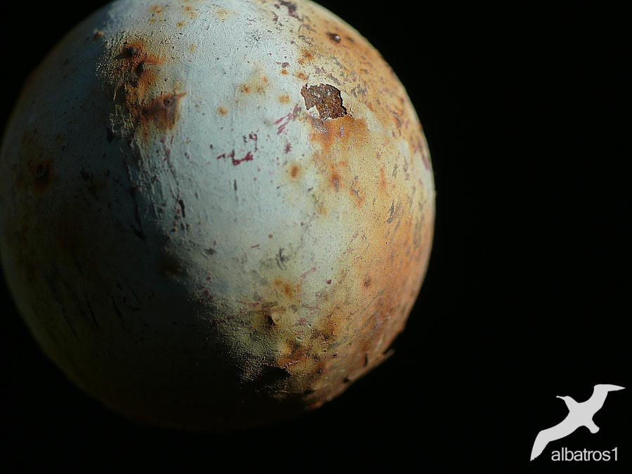 Rusty Moon by albatros1 on DeviantArt