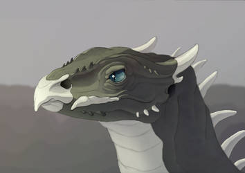 Young Jillian's Dragon