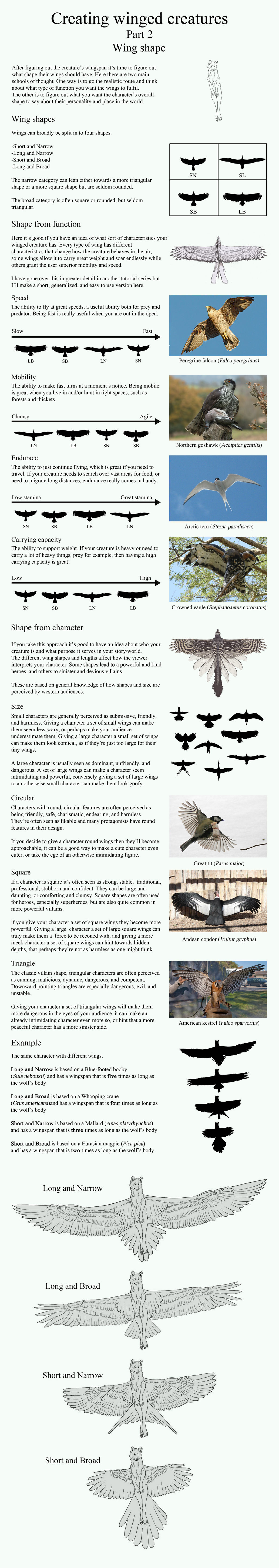 Winged Creature Patterns Creating winged creatures part 2: Wing shape by camelpardia on DeviantArt