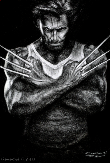 Wolverine sketch