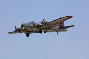 Yankee Lady  B-17