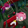 Amy and Sonia (Sonic X)