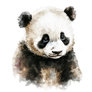 Cute Panda Bear Watercolor Painting Portrait