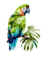 Great Green Macaw Parrot Watercolor Painting