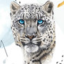 Beautiful Snow Leopard Art Watercolor Painting