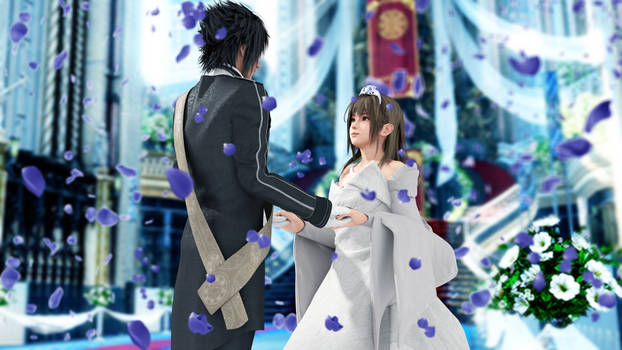 Noctis X Misaki Wedding -Dream of the Future-