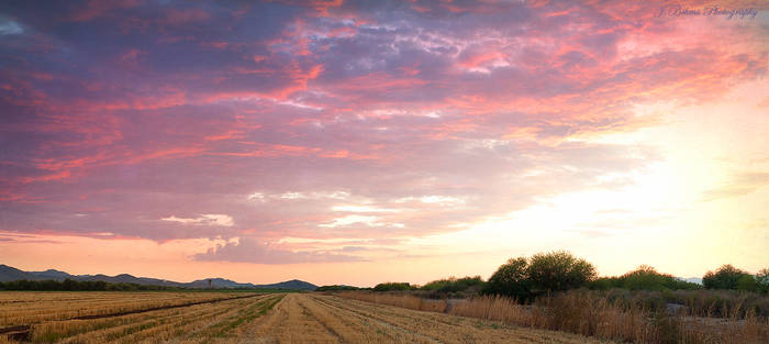 Estrella Mountains 2