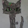 Hollyleaf