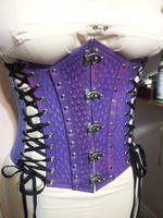 Purple Scale Corset