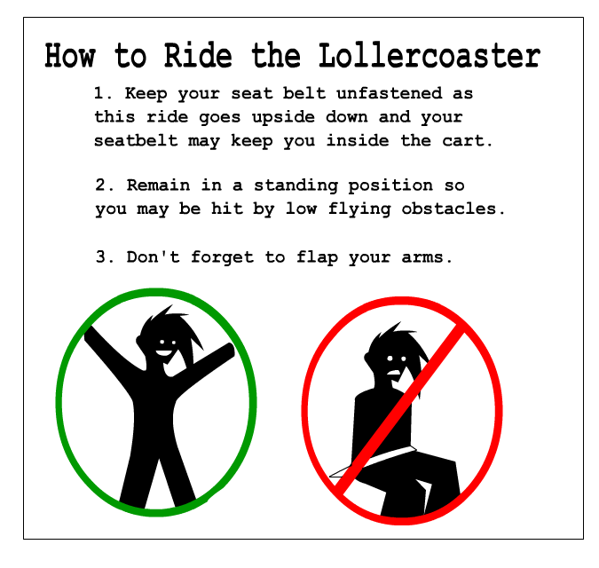 LollerCoaster Instructions