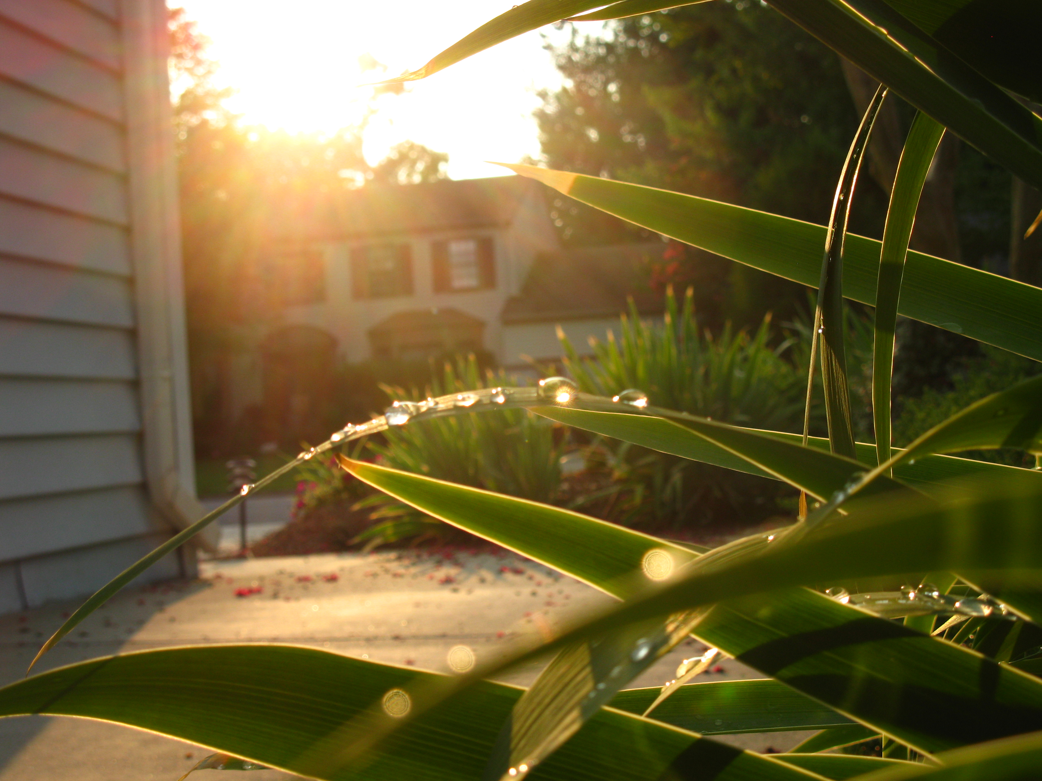 Sun Set after Storm