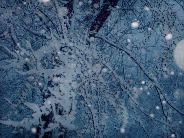 Deviantart Snow Snow 1 by Zeaphra247 on DeviantArt