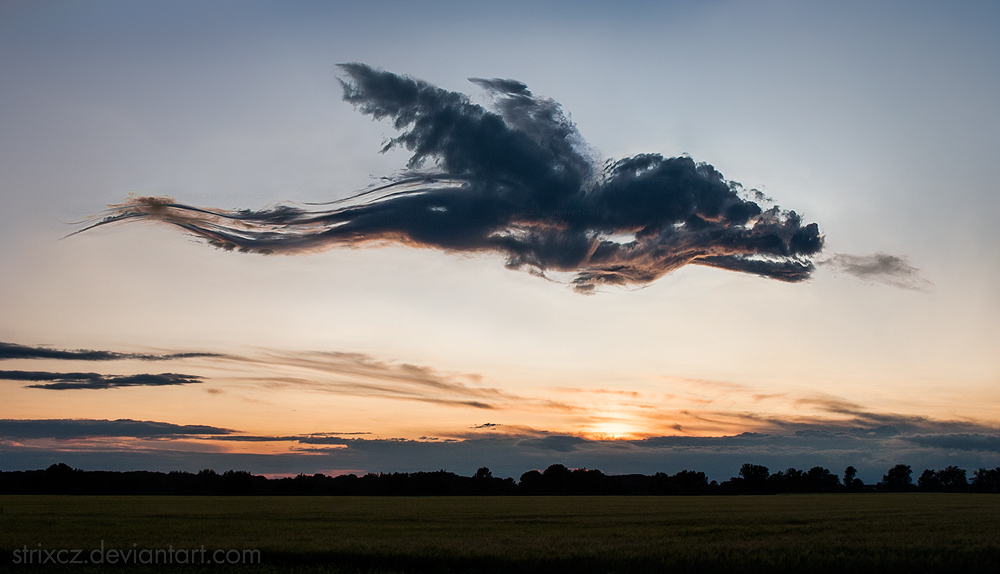 The Cloud Dragon by StrixCZ on DeviantArt