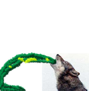 Sick wolf by Acton70 on DeviantArt