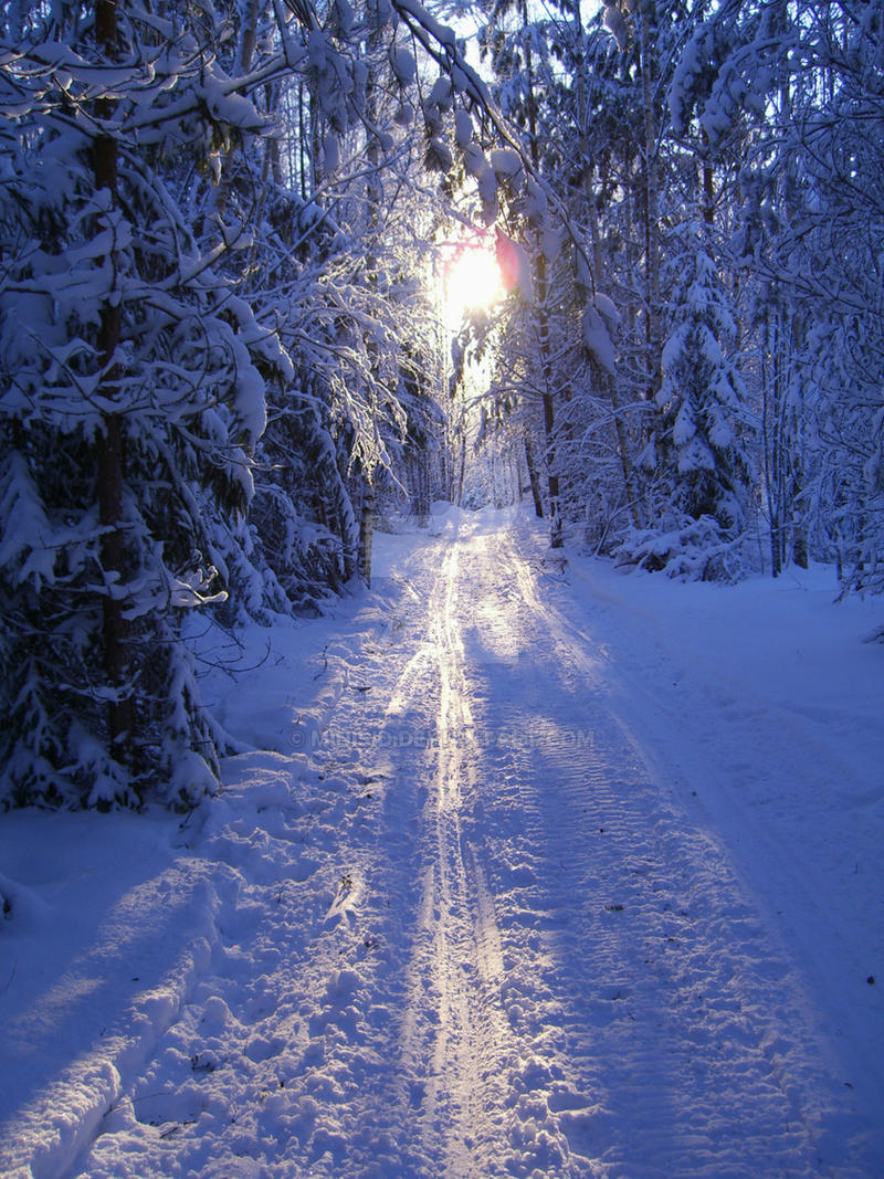 White Path Pattern the white path by Minisid on DeviantArt