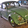 Old green Bug