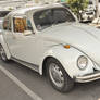 Beetle 1300