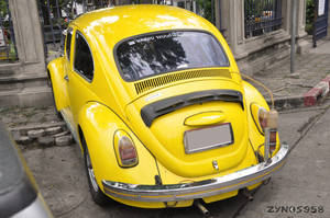 A strange yellow Bug